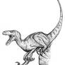 Raptor - or Deinonychus