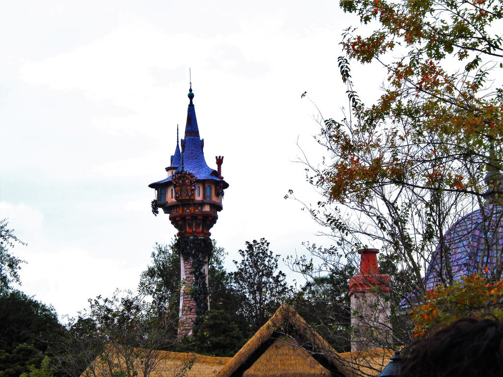 Rapunzel's Tower by msbrit90 on DeviantArt