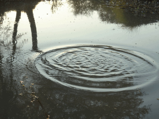 Ripples by sheereenabba on DeviantArt