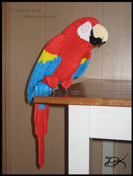 3D Origami Scarlet Macaw