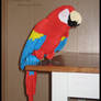 3D Origami Scarlet Macaw