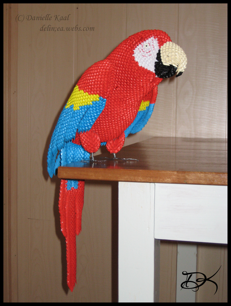 3D Origami Scarlet Macaw