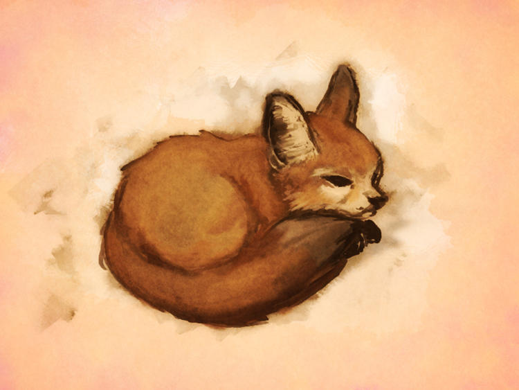 Deviantart Limber Fox the fox by lilamiez on DeviantArt