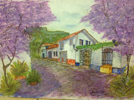 Calle De Jacarandas