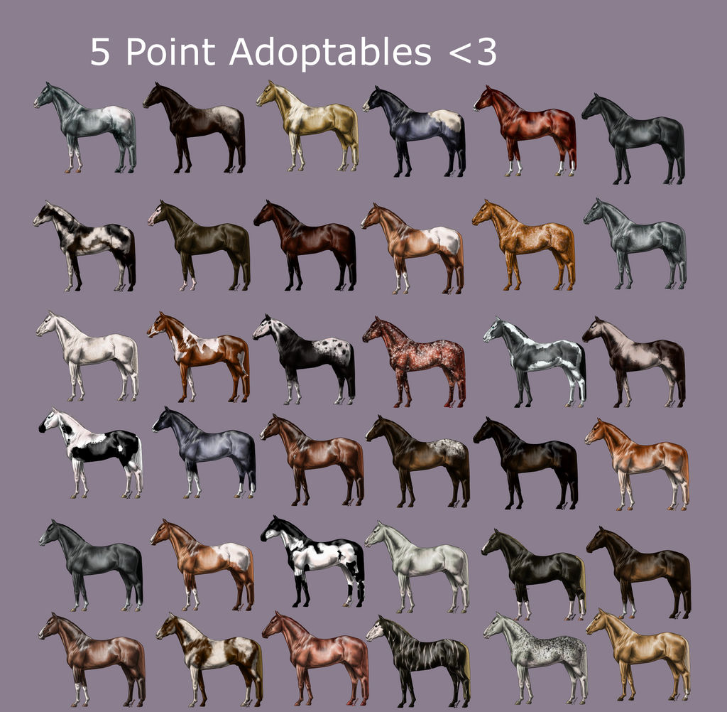 5 Point Horse Adoptables [27/36]
