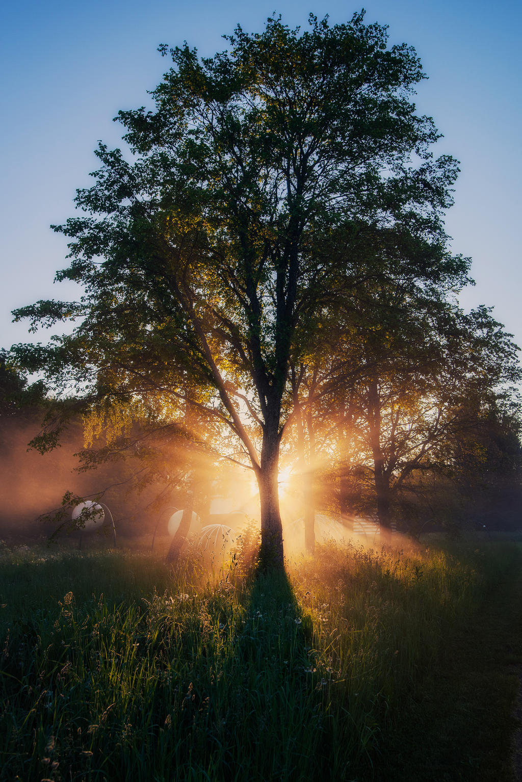 Shadow and sun by HendrikMandla on DeviantArt