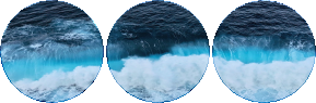 blue seas circle divider f2u