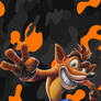 Crash Bandicoot Wallpaper #2