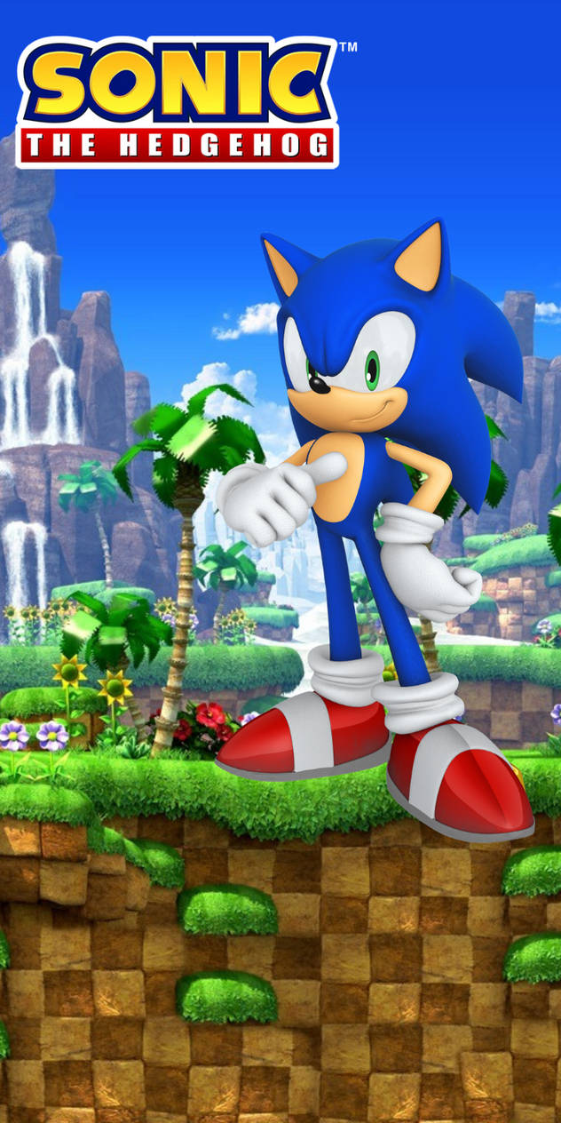 Sonic the Hedgehog Green Hill Zone Binder