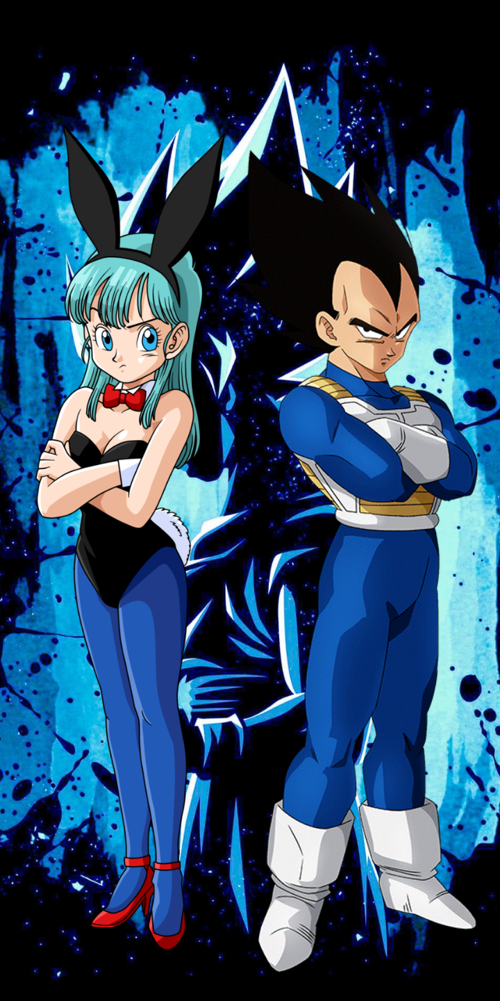 Vegeta And Bulma Wallpapers - Wallpaper Cave