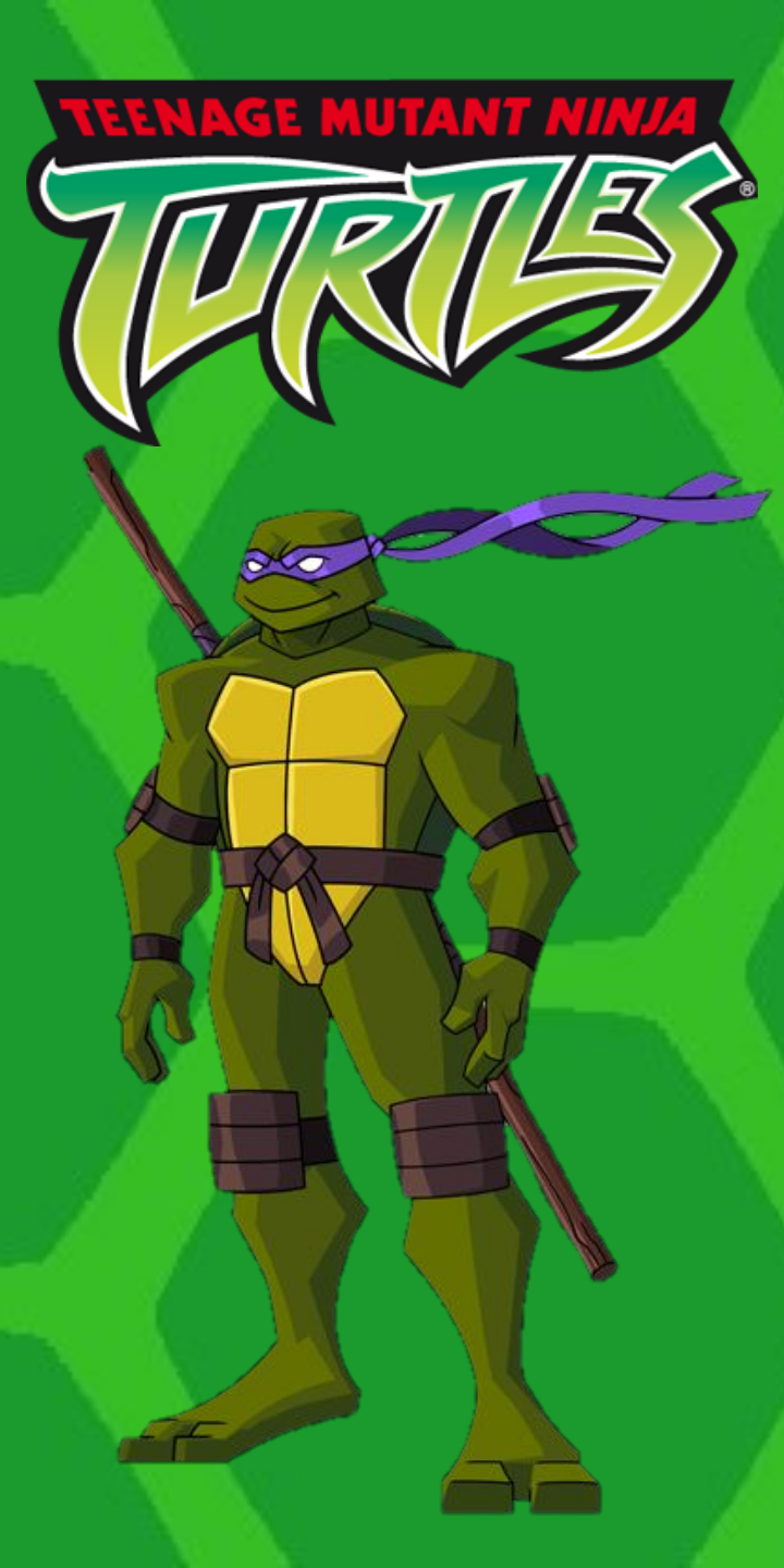 Donatello (Teenage Mutant Ninja Turtles, 2003) - Incredible