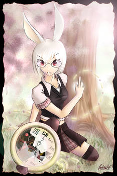 White Rabbit