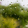 Rain 5