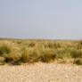 Landscape 60
