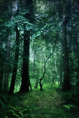 fantasy woodland bg 1