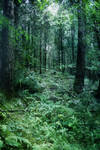 fantasy woodland bg 2 by joannastar-stock