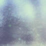 Cold Light - frozen