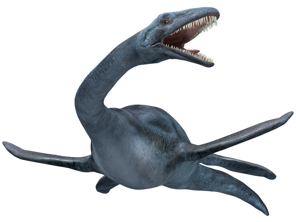 Elasmosaurus 01 by joannastar-stock