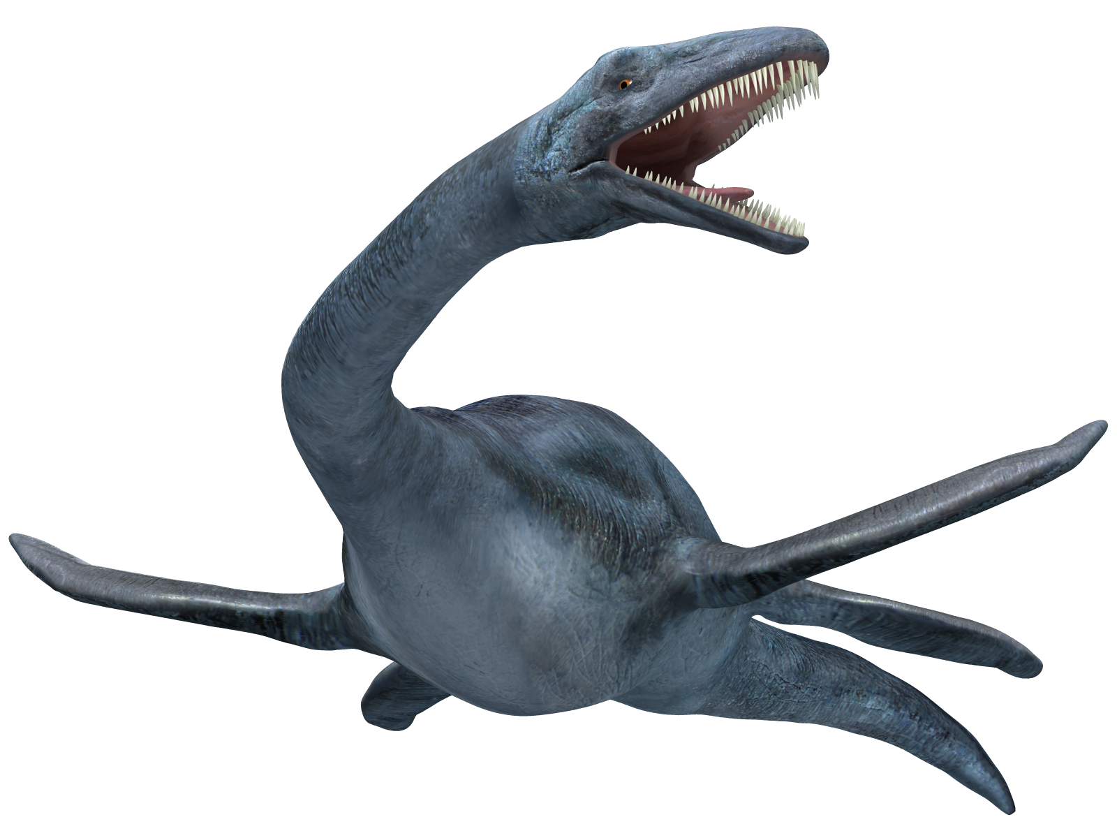 Elasmosaurus 01 by joannastar-stock