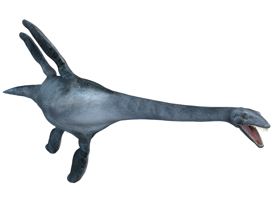Elasmosaurus 02 by joannastar-stock