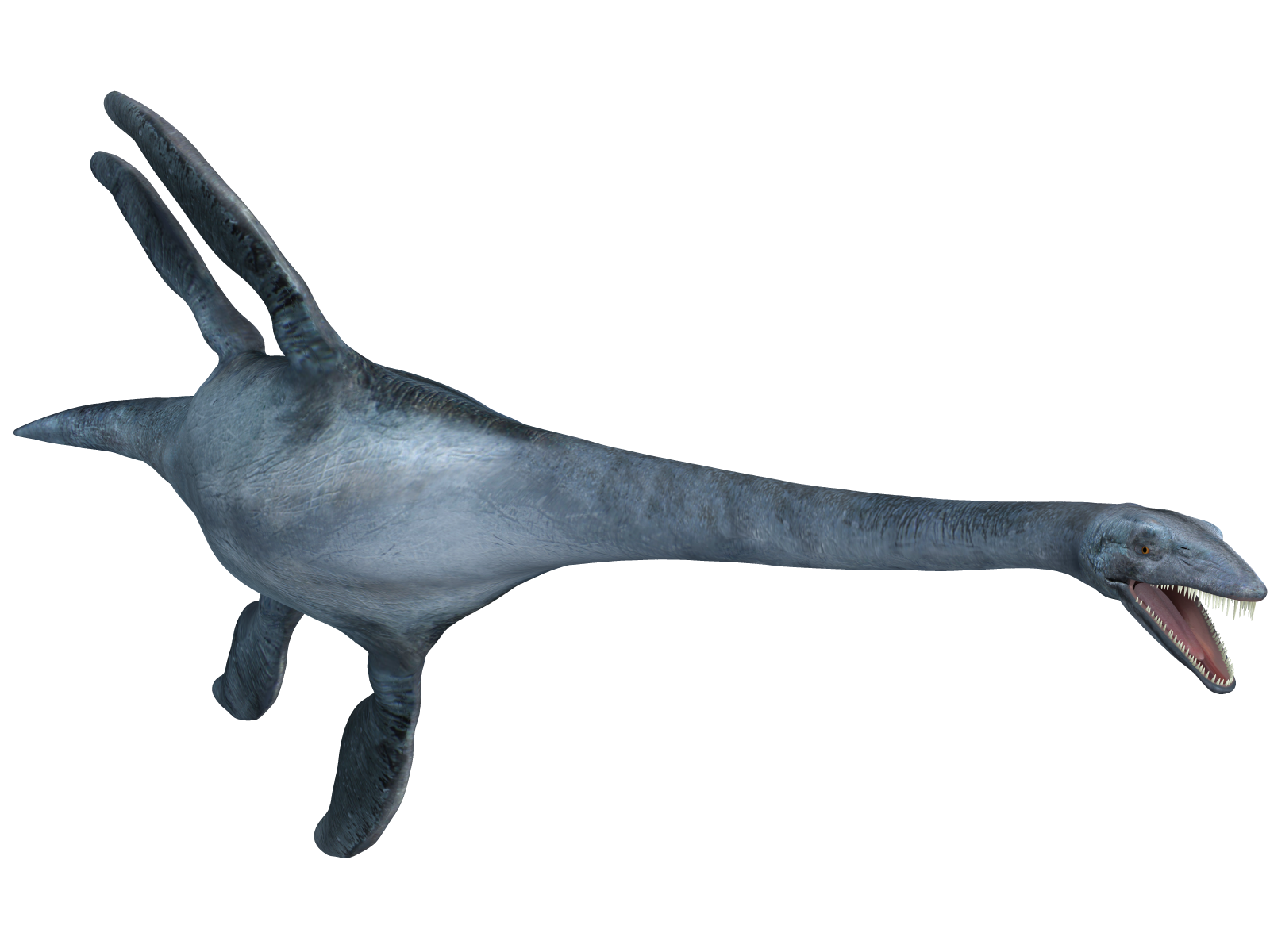 Elasmosaurus 02 by joannastar-stock