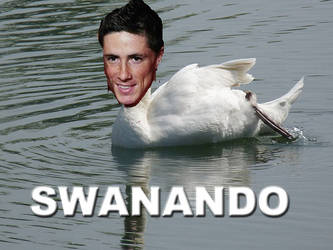 Fernando Torres as Swan