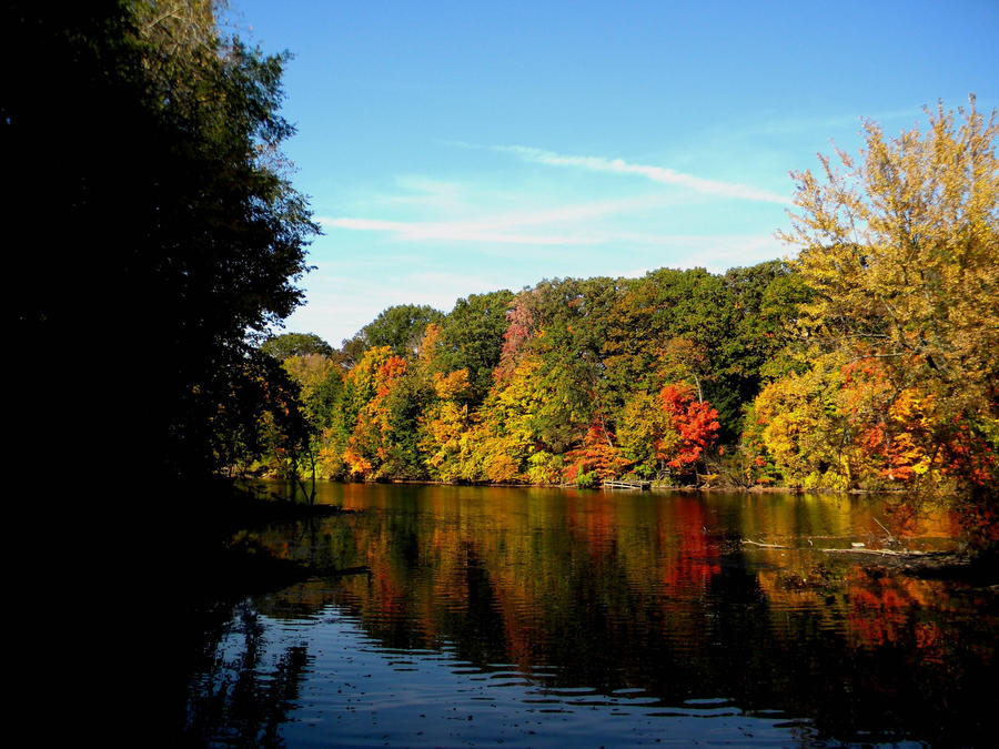 Colors of Fall