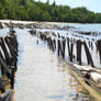 Remnents of a Shipwreck