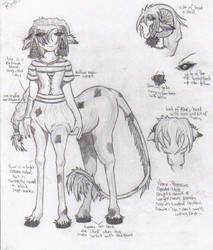 Rheocus - Profile