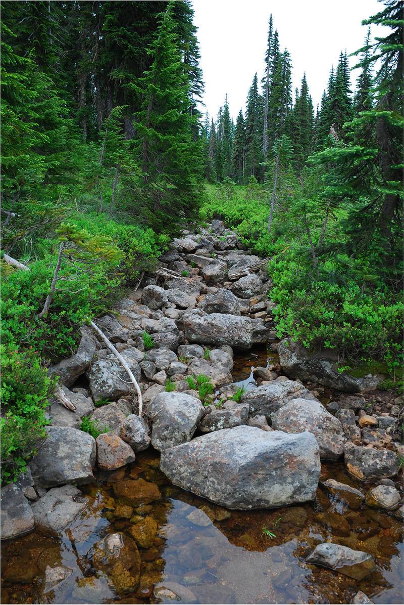 Mountain Stream