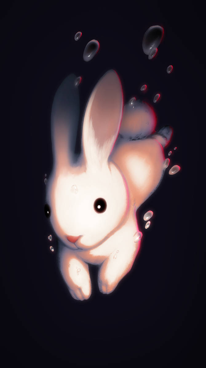 Seth The Rabbit Year of the Rabbit by Seth-D-Forbes on DeviantArt