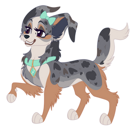 Chihuahua Fullbody Trixie