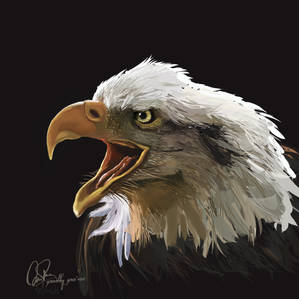 Eagle Call