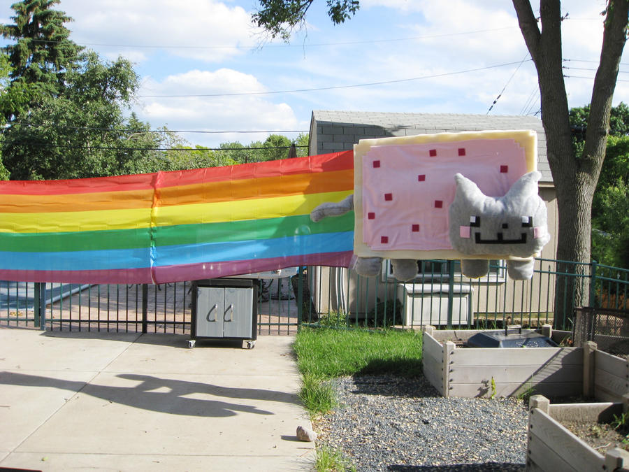 Nyan Cat flying