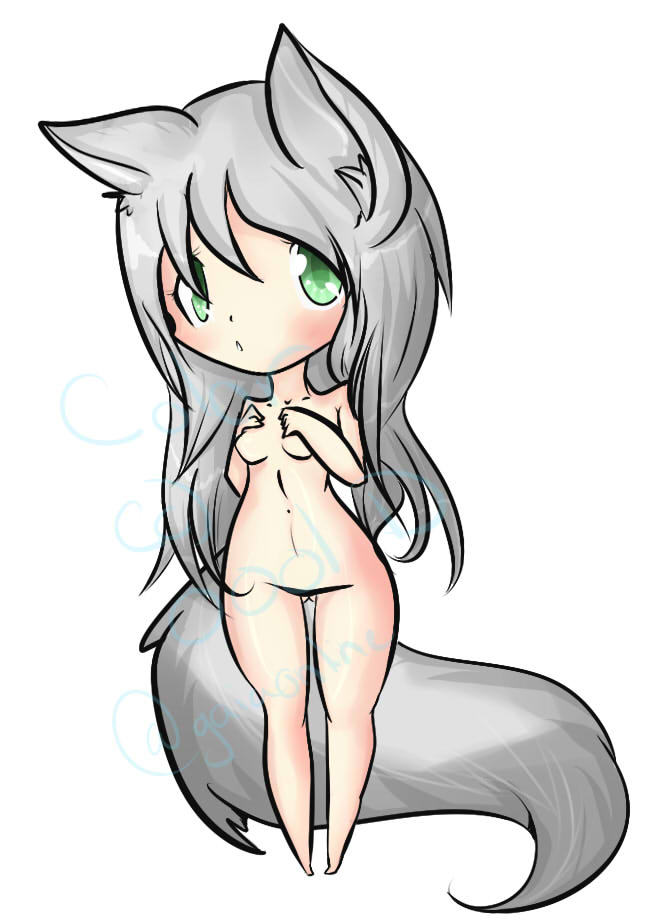 Experiment chib