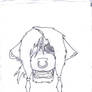 .: Pirate Wolf :.