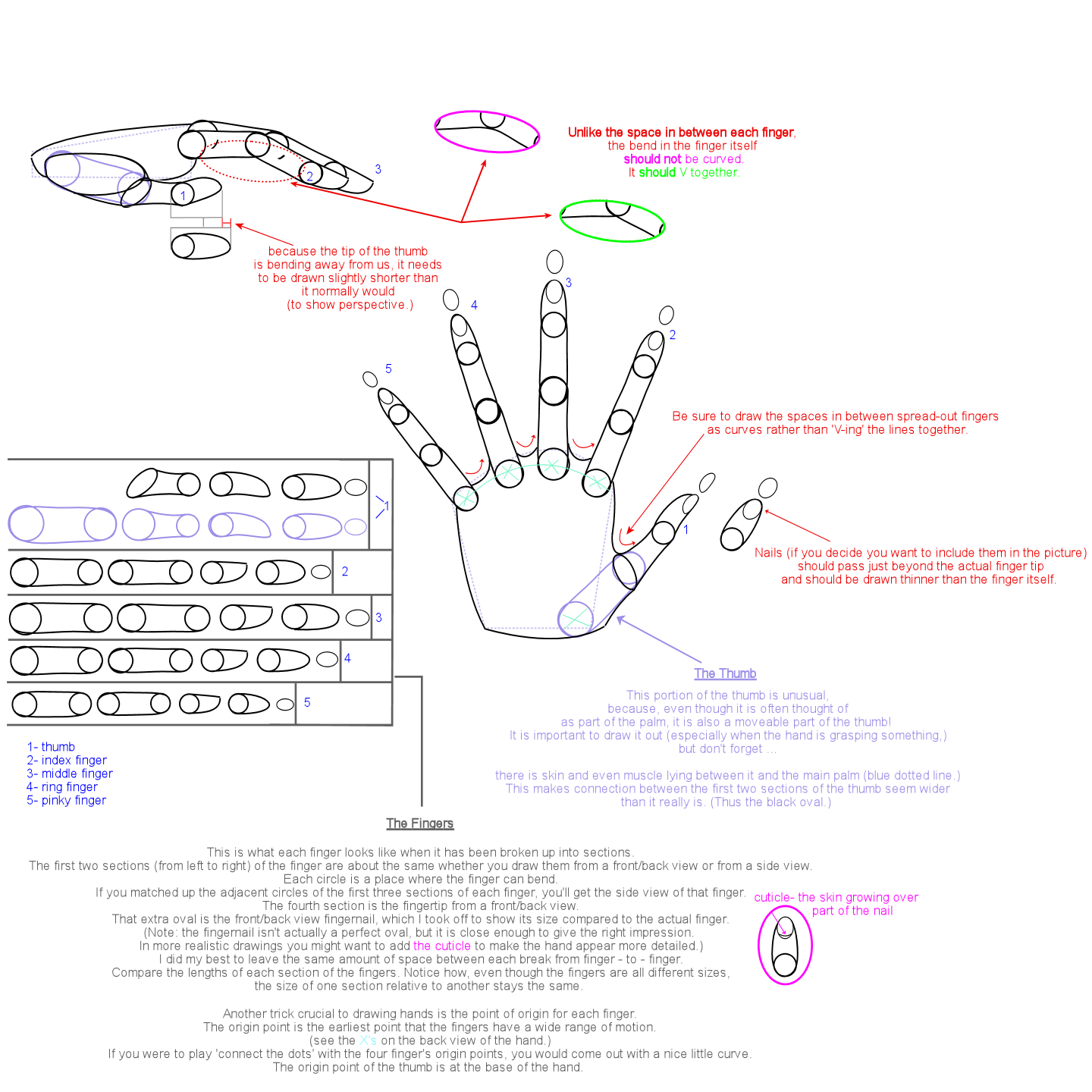 Hand Tutorial