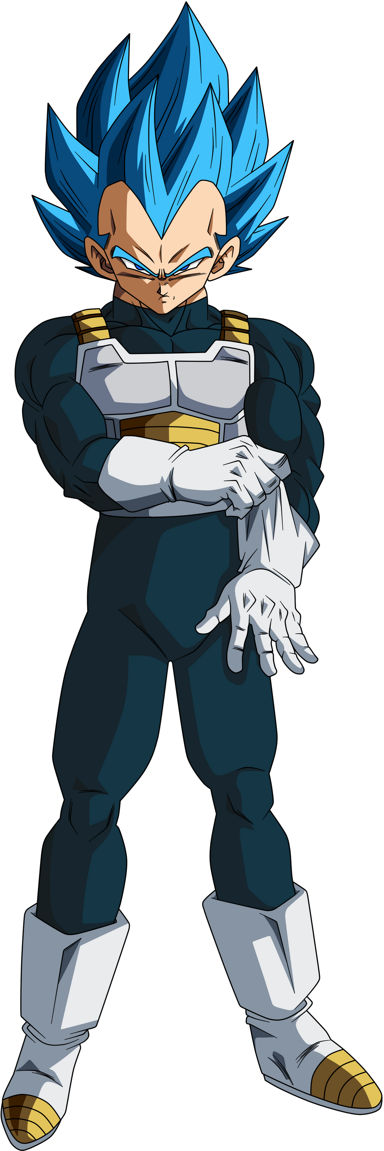 Vegeta Blue Colour vegeta-blue-colour