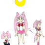 Chibiusa Past colored