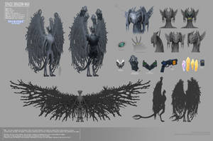 SPACE DRAGON MAX - REFERENCE