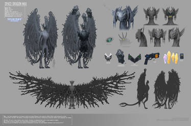 SPACE DRAGON MAX - REFERENCE