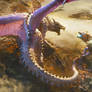 +Battle with Storm Dragon+