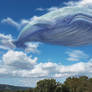 Sky whale