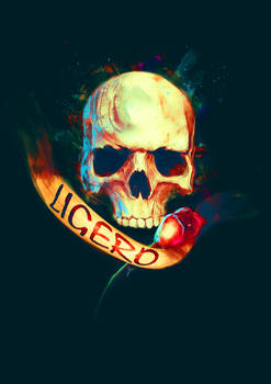 Logo - Ligero