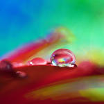 rainbowlicious by photopsie