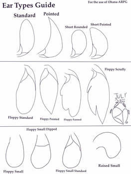 Lilo And Stitch-Ear Types Guide for Ohana-ARPG