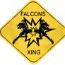 Falcons Xing