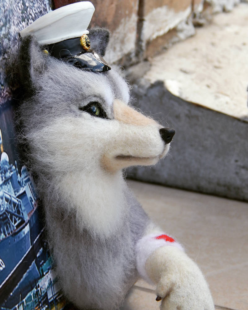 Doctor Wolf by mrRabidRabbit on DeviantArt