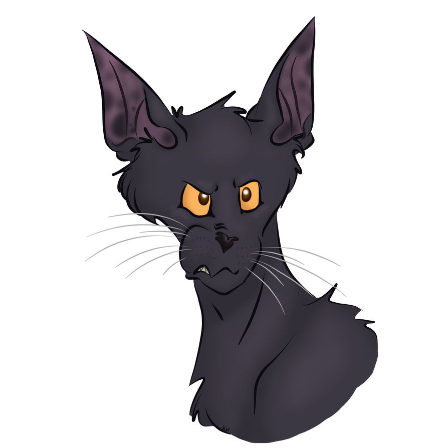 Nightcloud by EleventhChosenOne on DeviantArt
