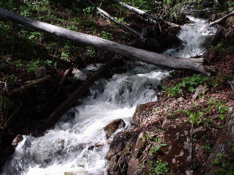 Jemez Trickle